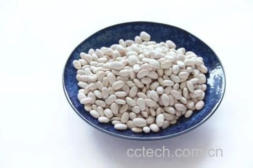 清洗后的无筋豆整齐摆放在白色瓷盘中,豆身翠绿光亮,背景为木质料理台 清洗后的无筋豆整齐摆放在白色瓷盘中,豆身翠绿光亮,背景为木质料理台