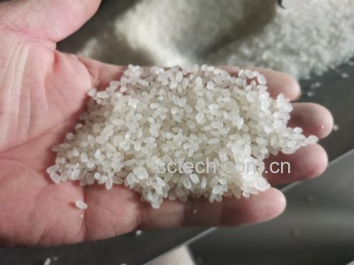 扁豆与小米的组合食材,用于制作扁豆小米粥 扁豆与小米的组合食材