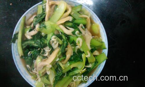 一道清炒油菜平菇成品菜盛放在圆形白色瓷盘中,油菜翠绿挺拔,平菇洁白柔韧,表面泛着晶莹油光,点缀少量红辣椒丝,旁边配有米饭一碗 成品菜肴盛在白色瓷盘中