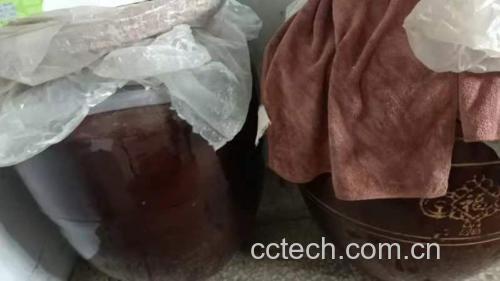 柚子酒在玻璃罐中进行长时间浸泡发酵 柚子酒浸泡过程