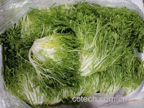 芝麻菜沙拉图,展示新鲜芝麻菜与其他食材搭配的健康沙拉 芝麻菜沙拉图
