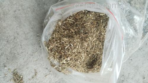 白芷与艾叶、红花、川芎等中药材搭配使用,用于外敷治疗膝关节炎 白芷与其他中药材搭配使用图