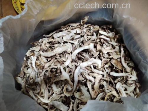 松茸切片展示其肉质结构,突出其细腻质地 松茸切片展示其肉质结构
