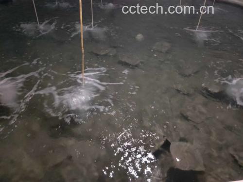 现代化海水养殖池中,清澈水流缓缓流动,多条多宝鱼在水中游动,鱼体侧扁呈菱形,背部褐色斑点明显,工作人员正在观察水质数据,背景可见养殖大棚结构,展示生态化、标准化的多宝鱼养殖过程 多宝鱼养殖场景