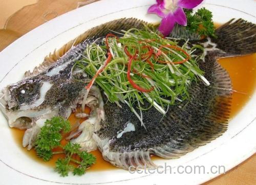 一盘刚出锅的清蒸多宝鱼,鱼身洁白饱满,表面铺满翠绿葱丝与红椒丝,热油淋过后色泽明亮,旁边摆放小碗盛有蒸鱼豉油,整体摆盘精致,充满食欲 淋油与浇汁完成的清蒸多宝鱼成品