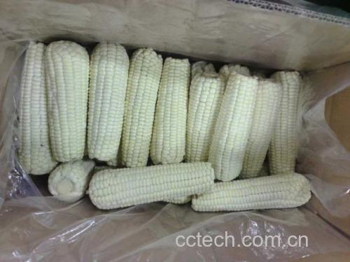 农贸市场摊位上的多种糯玉米展示