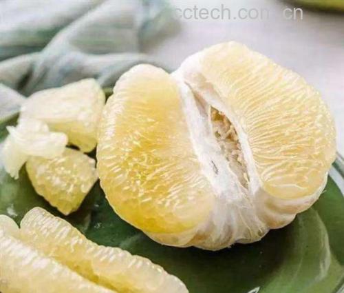 柚子与健康饮食搭配图,展示柚子与蔬菜、坚果等健康食材共同组成的营养餐 柚子与健康饮食搭配
