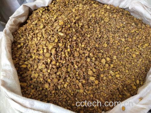 桌面上摆放三种不同形态的黄芩产品:左侧为原生态黄芩饮片,切片整齐,色泽金黄;中间为标有‘黄芩苷含量检测合格’字样的胶囊瓶;右侧为中药配方颗粒小袋包装,背景为药店货架,体现市场流通状态 市售黄芩饮片与包装产品对比展示