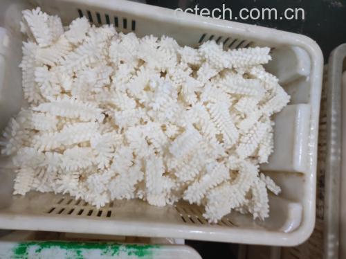 展示新鲜鱿鱼清洗、切花刀和焯水的过程 鱿鱼处理过程