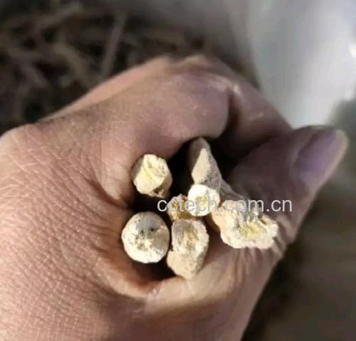 荧光共聚焦显微镜图像:左图为UVB照射后角质形成细胞(DAPI蓝染细胞核,红色为ROS荧光探针),右图为预孵育黄芩根提取物(10μg/mL)后同一视野——红色荧光强度显著减弱,表明活性氧清除能力;图像标注比例尺20μm,背景为无血清DMEM培养基环境 黄芩根提取物在皮肤细胞实验中的显微影像对比图