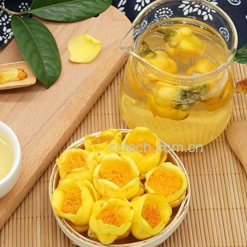 金丝皇菊茶冲泡全过程示意图