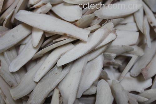 麸炒白术片热水闷泡过程实拍：透明杯中金黄色白术片在热水中舒展，水面泛起琥珀色胶质层