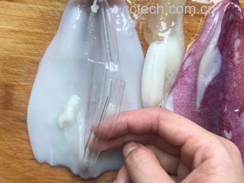 一名厨师正在砧板上处理小鱿鱼,手指正从尾部推出透明软骨,旁边摆放着已清理干净的小鱿鱼和分离出的内脏及墨囊 小鱿鱼清洗处理过程