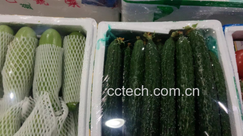 果蔬表面涂布黄芩抑菌膏的应用场景,展示其在保鲜中的实际使用方式 果蔬表面涂布黄芩抑菌膏