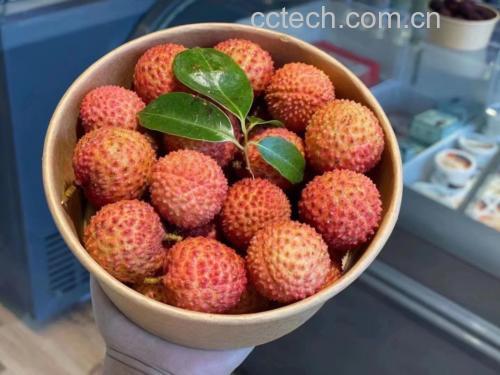 桂味荔枝科学食用组合场景:展示鲜果、无糖希腊酸奶、奇亚籽、牛油果泥、肉桂粉等健康配料,体现晨间抗氧化、运动恢复、控糖适配三大实用方案,背景暗示健康生活方式 桂味荔枝科学食用场景图:木质砧板上摆放桂味荔枝鲜果、希腊酸奶杯、奇亚籽罐、牛油果泥碗及肉桂粉瓶,背景虚化显示晨光与运动水壶