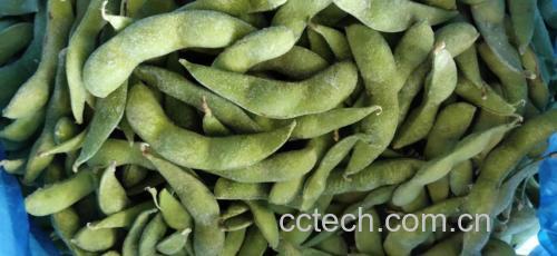 清蒸毛豆实物图