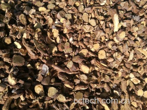 展示小麦籽粒、甘草、大枣三种中药材的实物照片,清晰标注每种成分 甘麦大枣汤原材料展示图