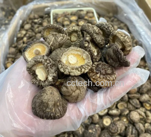 干香菇用于炖汤的烹饪场景示意图 干香菇烹饪示意图