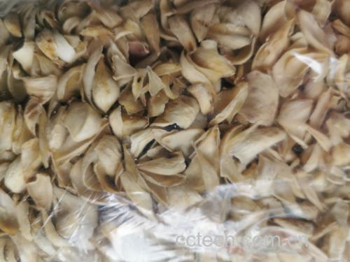 俯拍视角:左上角为刚剥好的洁白百合鳞片;右上角为浸入淡黄色柠檬酸-抗坏血酸护色液的鳞片(色泽如初);左下角为用陶瓷刀切片过程;右下角为密封于带微孔PE袋的冷藏百合(标签注明推荐湿度) 家庭厨房中百合护色操作实景图