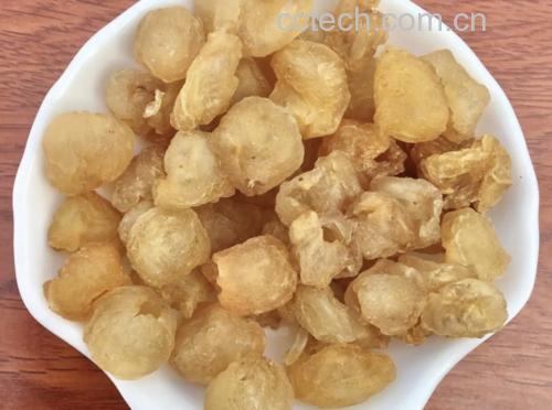 展示一碗色泽红润、质地浓稠的桂圆肉与西洋参粉蒸膏成品,旁边摆放新鲜桂圆肉和西洋参粉作为原料对比 桂圆肉与西洋参粉蒸膏成品图