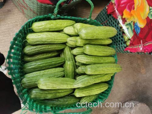 一组清热食材组合图,包括绿豆、苦瓜、菊花、梨子等,背景清新自然 清热食谱示意图
