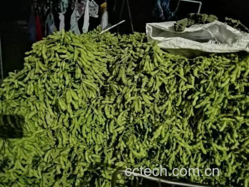 展示毛豆与其他健康食材搭配的拼盘,体现其在健康饮食中的角色 毛豆与健康生活方式