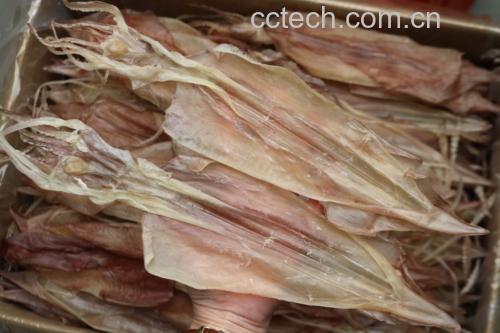 高清特写:优质干鱿鱼原料——体形完整、色泽清亮、盐霜自然分布,无霉变或氧化斑点,体现高含水量保留与低温晾晒工艺 干鱿鱼原料特写:整只淡琥珀色鱿鱼干平铺于竹匾上,表面覆盖均匀细密白色盐霜,边缘微卷但无裂纹,背景为木质料理台