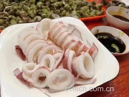高清美食图:白灼鲜鱿卷摆盘效果——鱿鱼卷形态完整、边缘微翘、色泽莹润如玉,豉油光亮不腻,葱丝鲜绿分明,体现‘快发快烹’带来的极致嫩度与本味呈现 白灼鲜鱿卷成品图:洁白卷曲的鱿鱼整齐码放于青瓷浅盘,表面淋琥珀色豉油,缀以翠绿葱丝与红椒圈,盘底有少量清亮汤汁