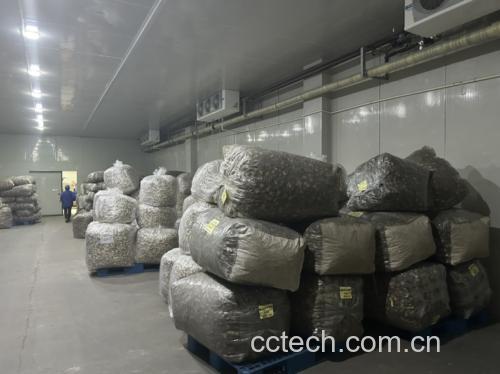 展示干香菇储存在密封罐中,旁边配有干燥剂,背景为厨房橱柜 干香菇储存示意图