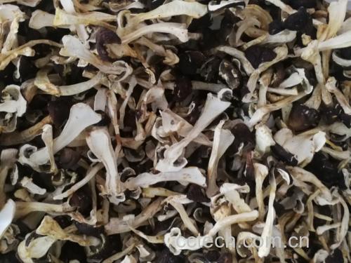 干香菇成品菜肴摆盘图