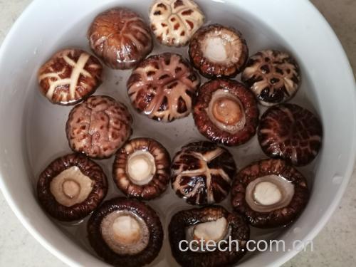 泡发干香菇的过程