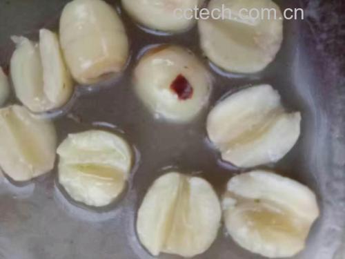 莲子营养成分图示,展示蛋白质、矿物质、维生素等含量分布 莲子营养成分图示