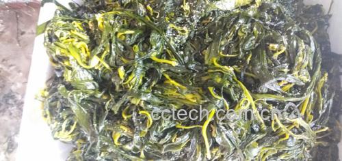 展示海带与紫菜常见搭配食谱的图片 海带紫菜搭配食谱图