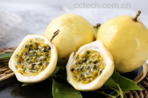 百香果剖开特写
