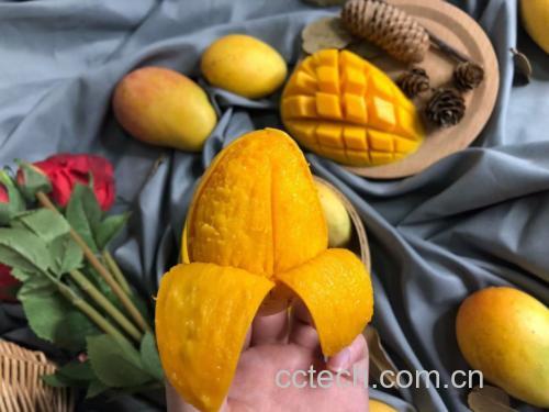 芒果银耳羹成品图