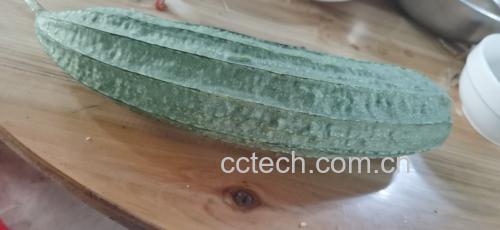 新鲜采摘的绿色丝瓜摆放在木质托盘上,旁边是煮熟的汤品,展示其作为药膳食材的形象 丝瓜与健康饮食