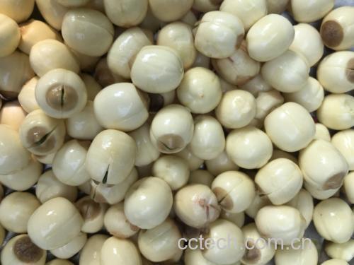一碗热气腾腾的绿豆煮莲子,色泽清亮,莲子饱满,绿豆开花,散发淡淡清香 绿豆煮莲子成品图