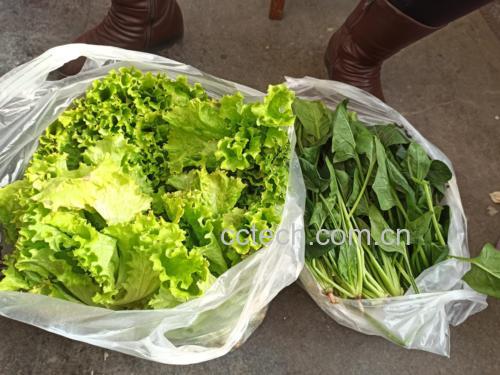 图片说明:新鲜菠菜与食用醋并置在厨房操作台上,展示日常烹饪中的常见组合 菠菜与醋的搭配场景