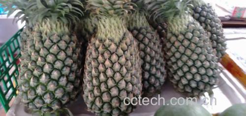 一碗新鲜的菠菜梨子沙拉,配以橄榄油和柠檬汁调味 菠菜梨子沙拉成品图