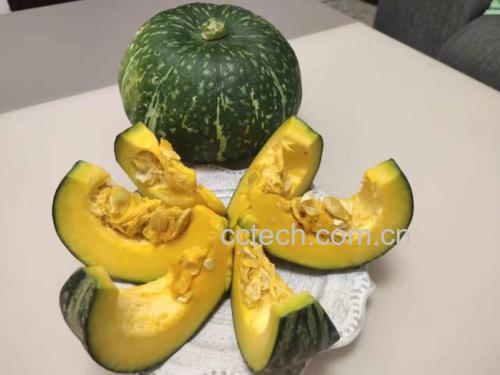展示不同种类南瓜切面,清晰可见南瓜皮厚度及质地 南瓜切片展示皮与肉