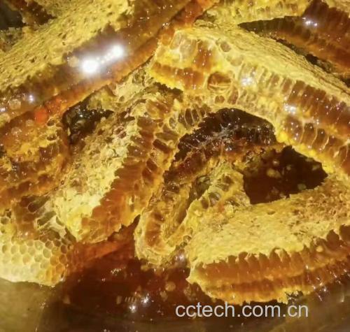 长白山椴树蜜实物图:展示其标志性细腻乳白结晶态,结晶颗粒直径0.1–0.3mm,无气泡杂质,体现低温慢结晶工艺特征;背景椴树花强调原料道地性 椴树蜜结晶特写:细腻乳白色结晶体,表面呈现均匀雪花状纹理,玻璃器皿盛装,背景为长白山林区椴树花实景