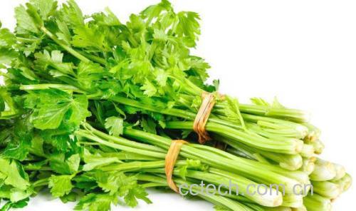 芹菜炒肉成品图