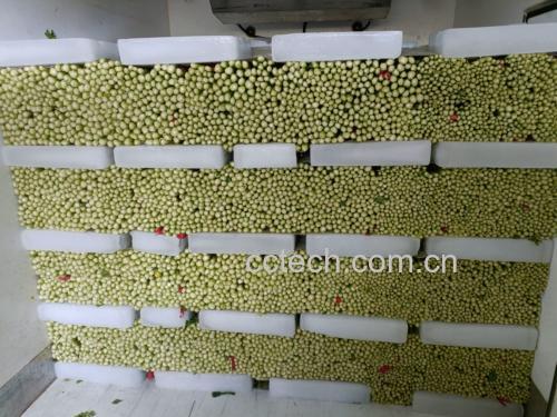 一位哺乳期母亲正在超市选购新鲜芹菜 哺乳期妈妈在厨房挑选芹菜