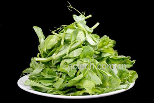 一盘新鲜带荚的青豌豆放置在左侧,右侧是一碗刚剥出的翠绿色青豌豆粒,背景为木质砧板,光线柔和自然,突出食材的新鲜质感 新鲜青豌豆与剥好的豆粒对比图