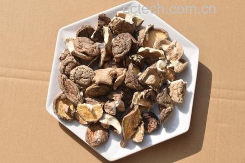 展示干香菇泡发前后的状态对比,帮助读者直观理解泡发的重要性 干香菇泡发前后对比图