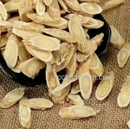 野葛根与粉葛饮片对比图:左侧正品野葛根切片呈浅棕色、木质部放射状星点明显、质地致密;右侧粉葛切片灰白色、纹理散乱、轻压即碎,直观呈现农产品品质差异 对比图:左为正品野葛根切片(浅棕、放射纹清晰、质地坚实),右为劣质粉葛切片(灰白、纹理模糊、易碎成粉)