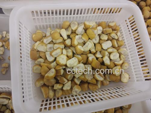 清洗干净的栗子整齐摆放在竹篮中 剥栗子前的清洗处理