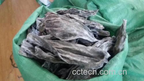 海带红枣汤炖煮中