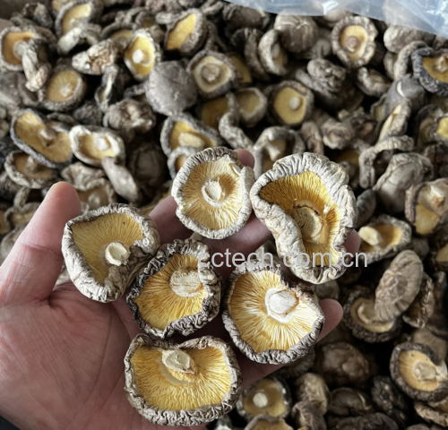 展示装盘完成的香菇油菜,油亮翠绿,香气四溢 成品装盘图