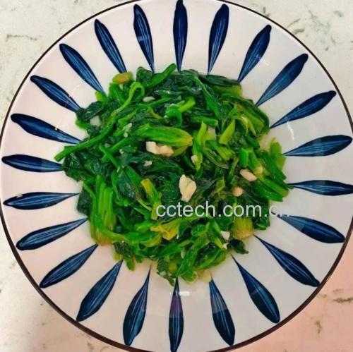俯拍高清成品图:青翠菠菜叶舒展分明,包裹着油亮橙红的西红柿块,表面泛自然光泽,可见细微蒜末颗粒与晶莹油星;盘底无多余汤汁,配白瓷浅盘与竹筷,凸显家常健康感 菠菜炒西红柿出锅特写